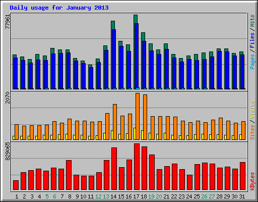 Daily usage for January 2013