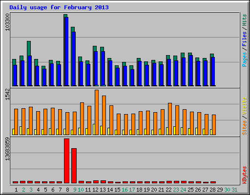 Daily usage for February 2013