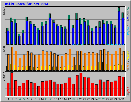 Daily usage for May 2013