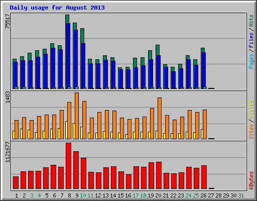 Daily usage for August 2013