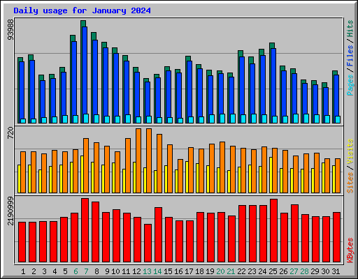 Daily usage for January 2024