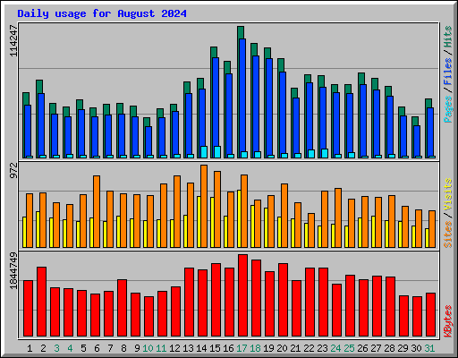 Daily usage for August 2024