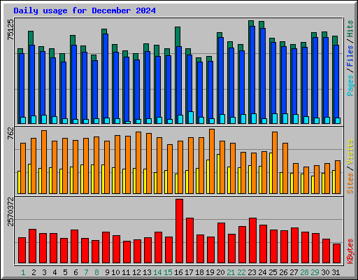 Daily usage for December 2024