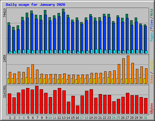 Daily usage for January 2026