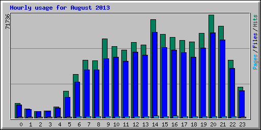 Hourly usage for August 2013