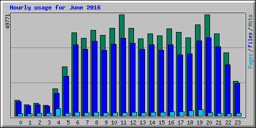 Hourly usage for June 2016