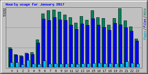 Hourly usage for January 2017