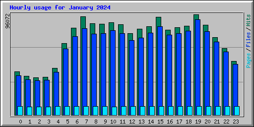 Hourly usage for January 2024
