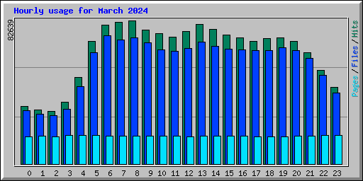 Hourly usage for March 2024