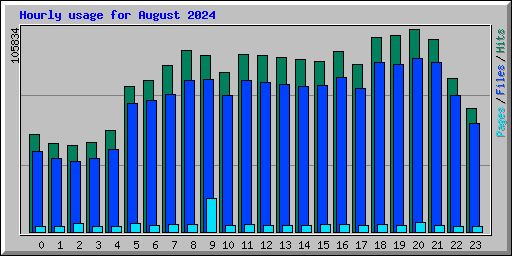 Hourly usage for August 2024