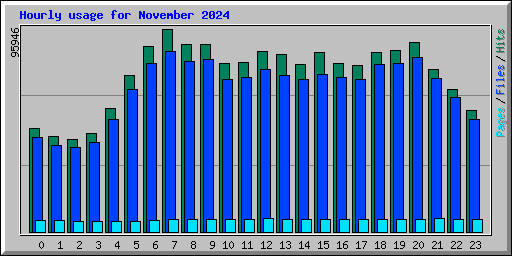 Hourly usage for November 2024