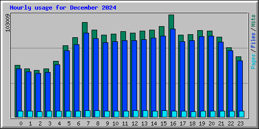 Hourly usage for December 2024