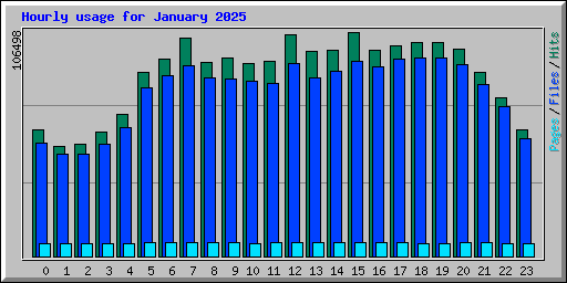 Hourly usage for January 2025