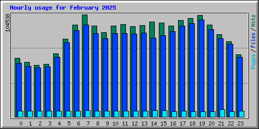 Hourly usage for February 2025