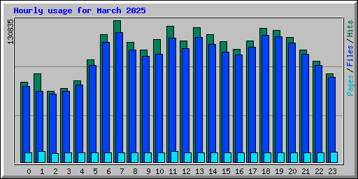 Hourly usage for March 2025