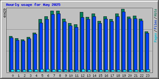 Hourly usage for May 2025