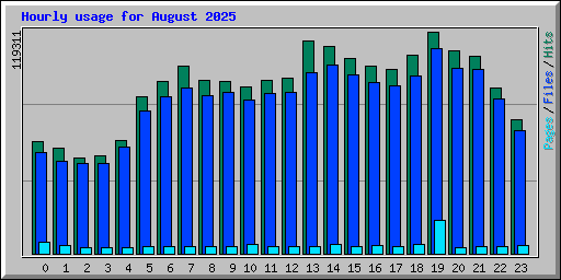 Hourly usage for August 2025