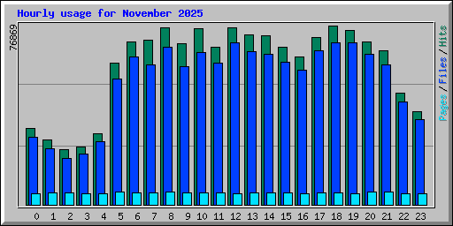 Hourly usage for November 2025