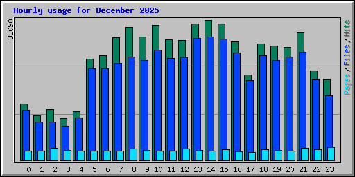 Hourly usage for December 2025