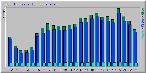 Hourly usage for June 2026
